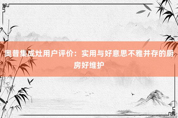 奥普集成灶用户评价：实用与好意思不雅并存的厨房好维护